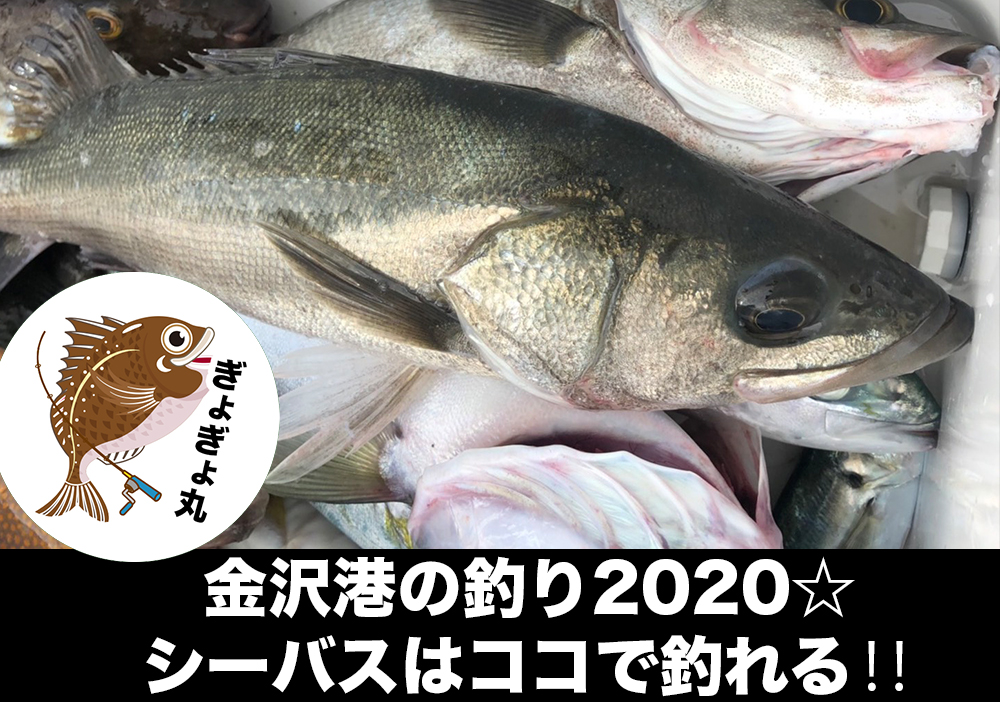 金沢港の釣り21 彡シーバスはココで釣れる かなざわさんぽ
